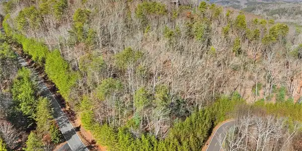 1001 Black Bear Trail