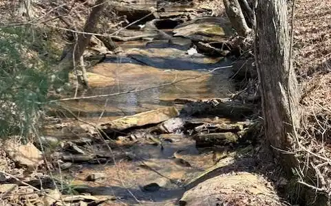 Lot 339 Timberline Trail