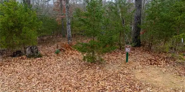 161 Headwaters Court