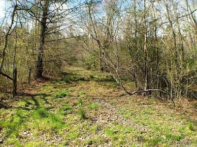 Lot 319 Doublehead Gap Road