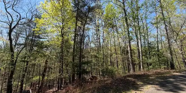 812 Horse Cove Court