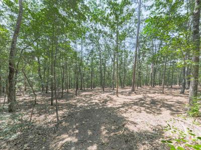 313 Mountain Top RD
