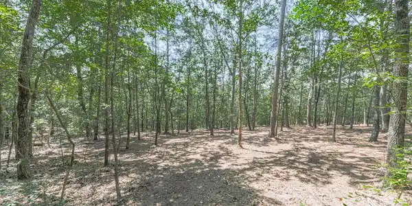 313 Mountain Top RD