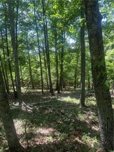 Lot 252 Owl Ridge Way