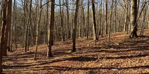Lot 3518 Oak Ridge Court