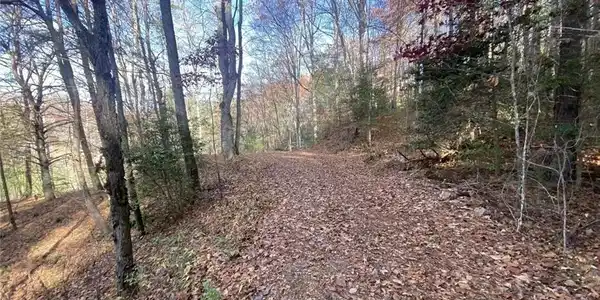 1 BAREFOOT HILLS