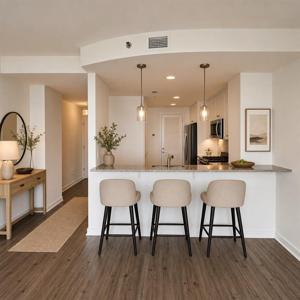 3338 Peachtree Road NE Unit 3302