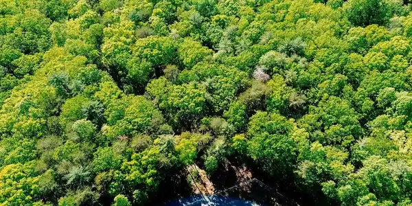 19 Amicalola Drive