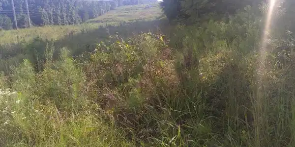 SW Klondike Road SW