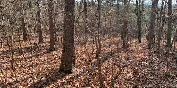 Lot 533 Quail Way