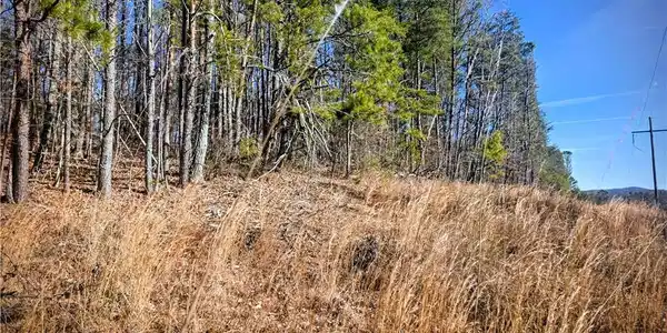 TBD Cowart Mountain Tract 3 Road