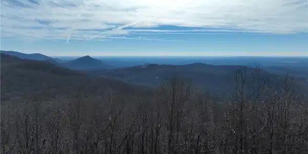 256 Blood Root Trail