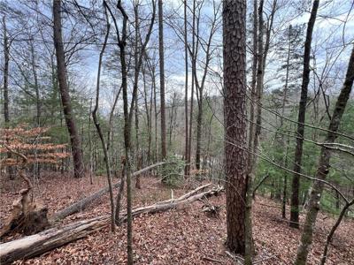 Lot 2 Rustic Way
