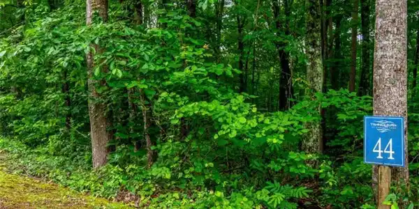 Lot 44 Harris Creek Drive