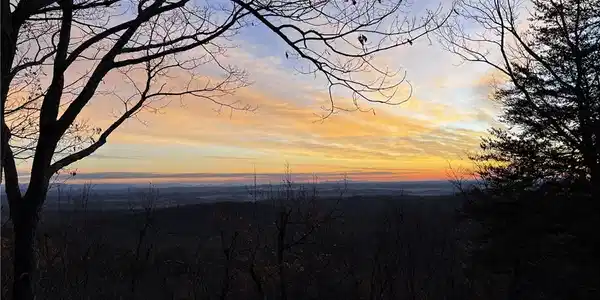 64 Wild Turkey Bluff