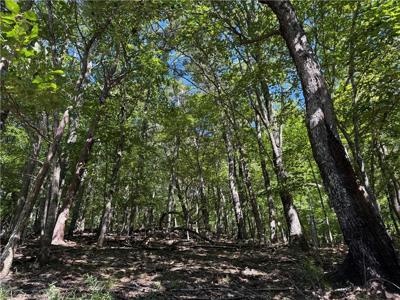 Lot 1652 Moss Patch Trail