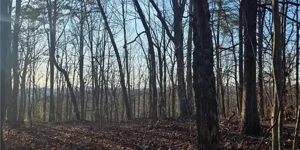 Lot 274 CARTERS LAKE OVERLOOK