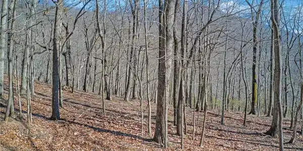 6354 Huckleberry