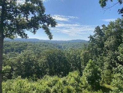 Carters View Drive