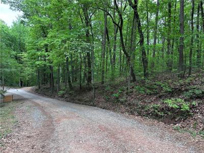TR1TR3 Flat Branch Trail