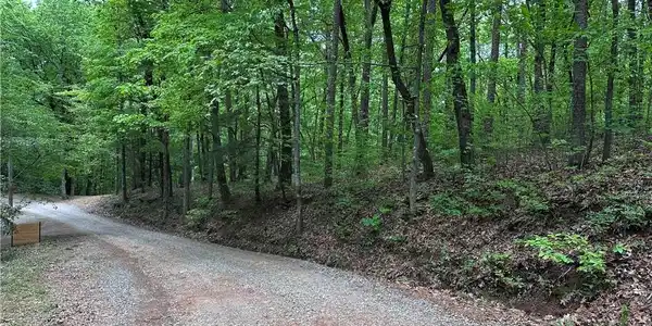 TR1TR3 Flat Branch Trail