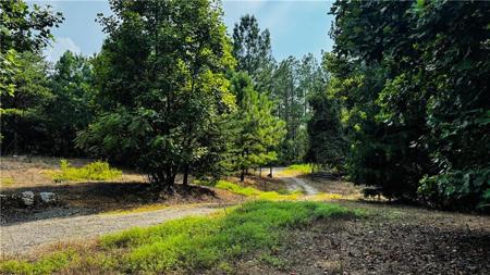 Lot 231 Treat Mountain Road