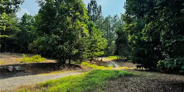 Lot 231 Treat Mountain Road