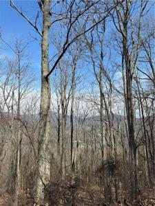 8261 Cox Mountain Drive