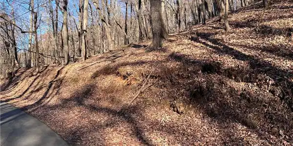 3381 Bella Vista Trail