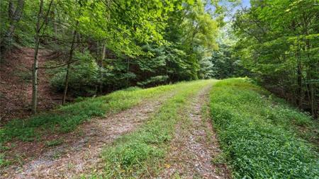 Lot 10 Papa Bear Path