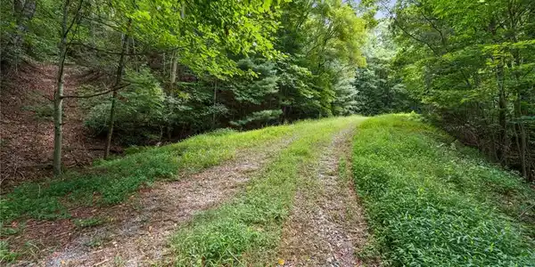 Lot 10 Papa Bear Path