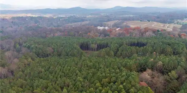 Lot 20 Foxpaw Leaf Lane