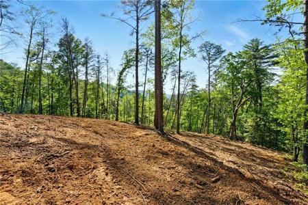 Lot 2 Dell Moore Road