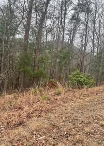 Lot 4a Sharp Top Mountain Trail
