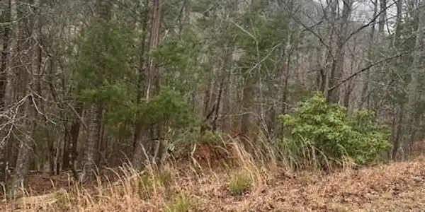Lot 4a Sharp Top Mountain Trail