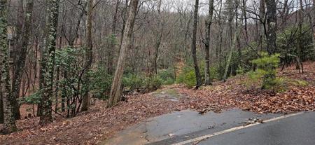 255 Woodland Trace