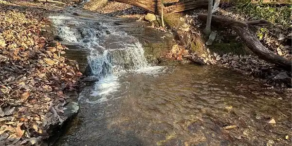 1649 Moss Patch Trail