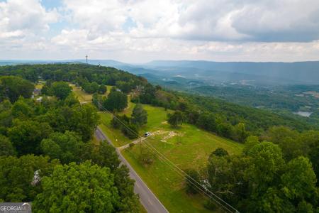 1984 Brow Road, Trenton GA 30752