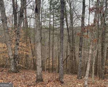 Lot 10 Crayfish Place, Talking Rock GA 30175