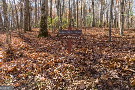 Lot 7 Joseph Anderson Trail, Ellijay GA 30536