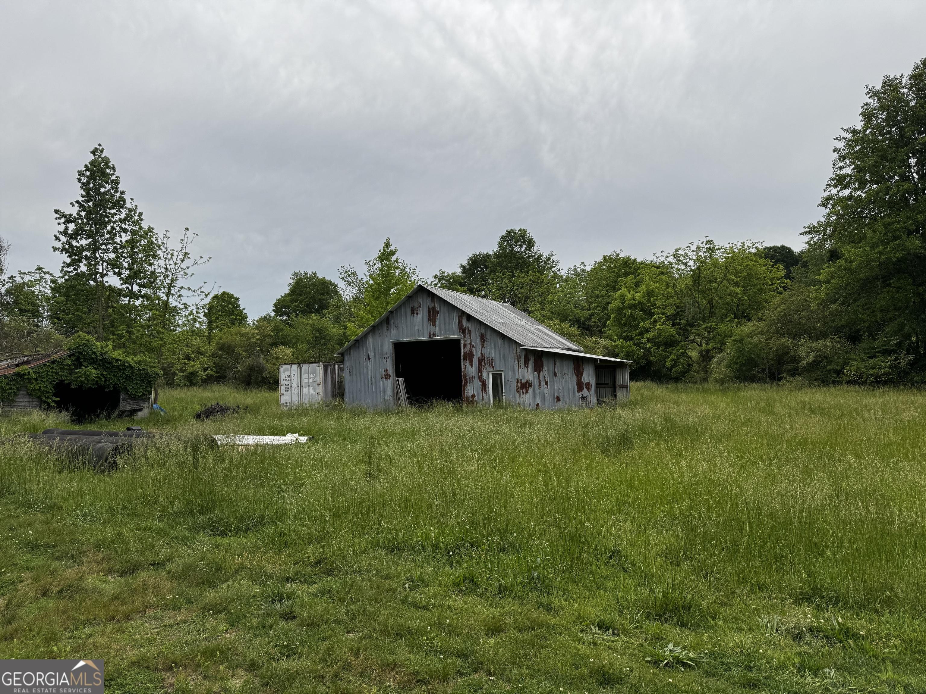 Image 4