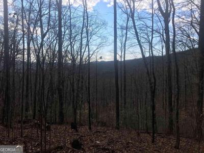 Lot SM24 Shadow Mountain, Dillard GA 30537
