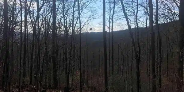 Lot SM24 Shadow Mountain, Dillard GA 30537