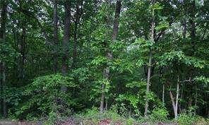 Old Mckaskey Creek Road SE, Cartersville GA 30121