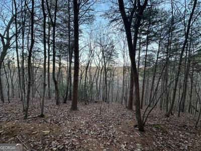 810 Bagwell Trail, Waleska GA 30183
