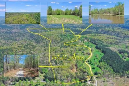 602 Gibson Road, Clarkesville GA 30523