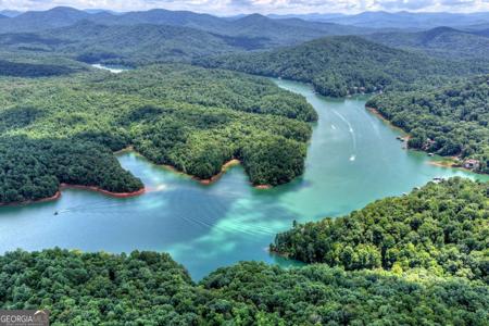 LT 60 Necowa Cove Overlook, Blue Ridge GA 30513