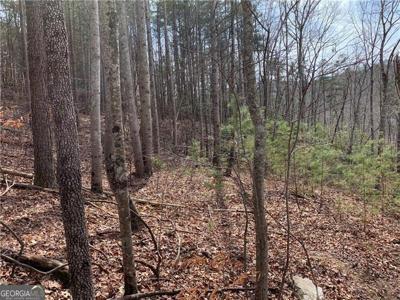 1014 N Cut Lane, Ranger GA 30734