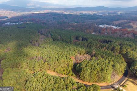 Lot 20, Ellijay GA 30536 Foxpaw Leaf Lane