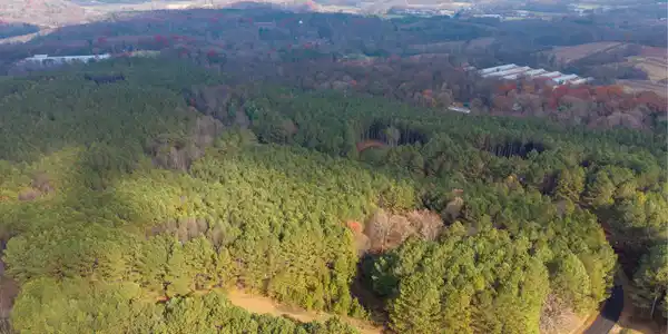 Lot 20, Ellijay GA 30536 Foxpaw Leaf Lane